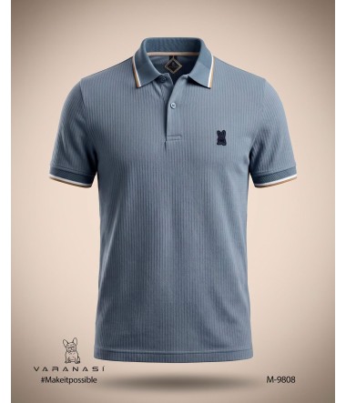 PLAYERA TIPO POLO CABALLERO VARANASI