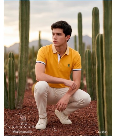 PLAYERA TIPO POLO CABALLERO VARANASI